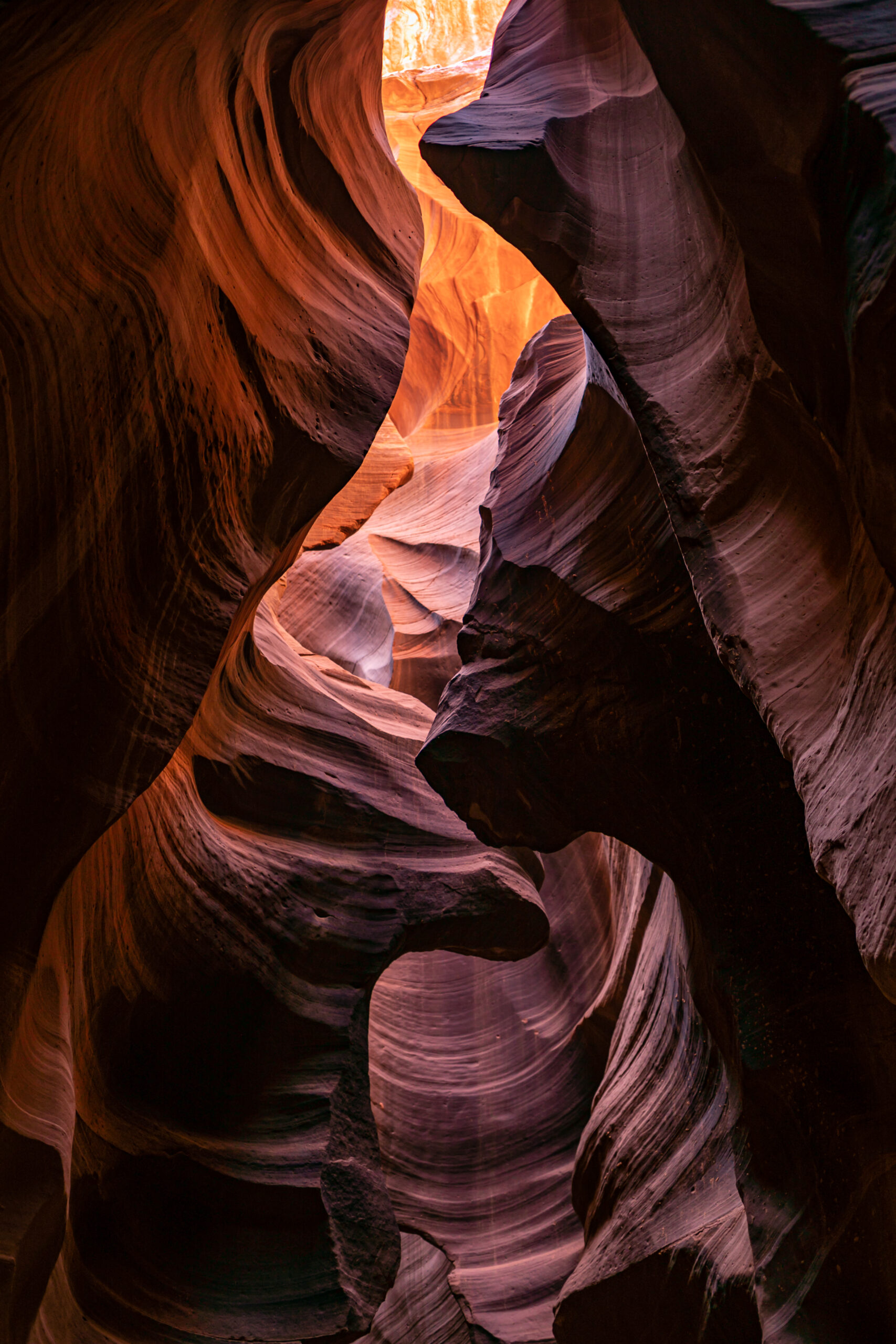 WONDERS OF OUR PLANET, Road Trip the USA by Camille Massida Photography